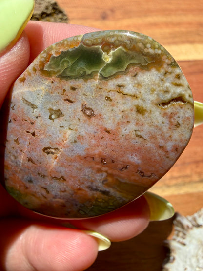 OLD STOCK OCEAN JASPER PALM STONE