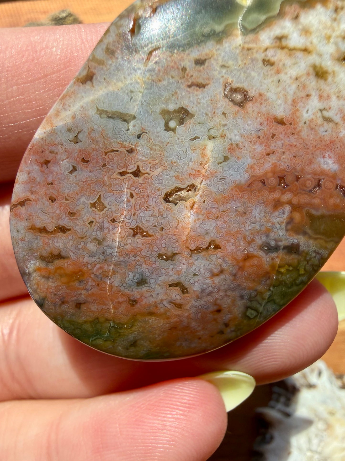OLD STOCK OCEAN JASPER PALM STONE