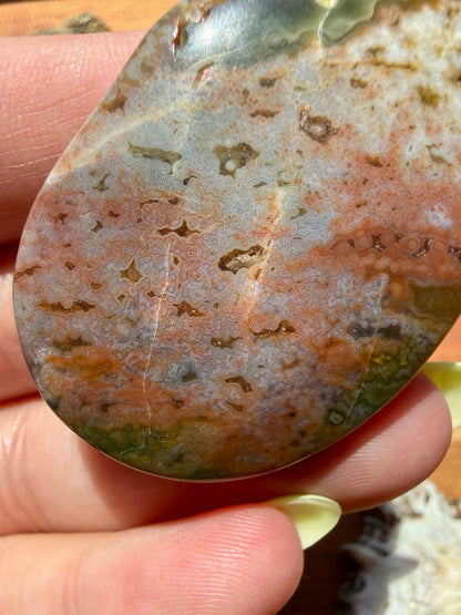 OLD STOCK OCEAN JASPER PALM STONE