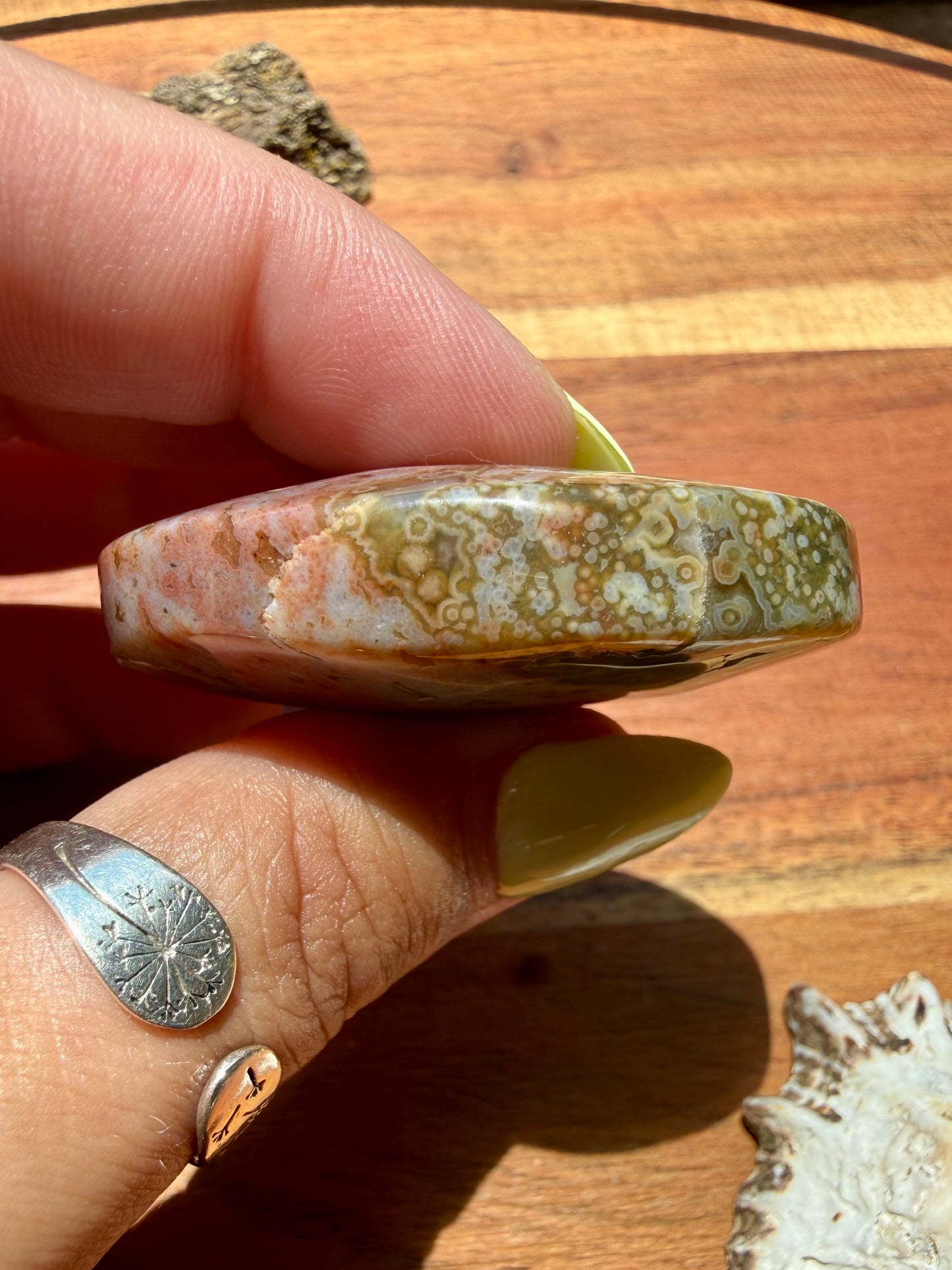 OLD STOCK OCEAN JASPER PALM STONE