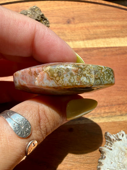 OLD STOCK OCEAN JASPER PALM STONE