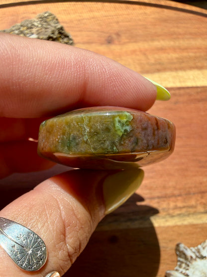 OLD STOCK OCEAN JASPER PALM STONE