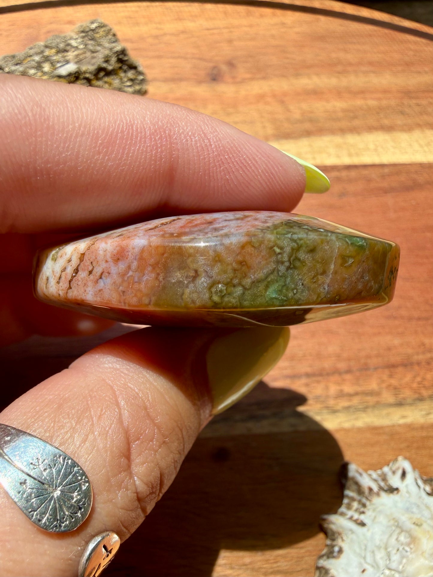 OLD STOCK OCEAN JASPER PALM STONE
