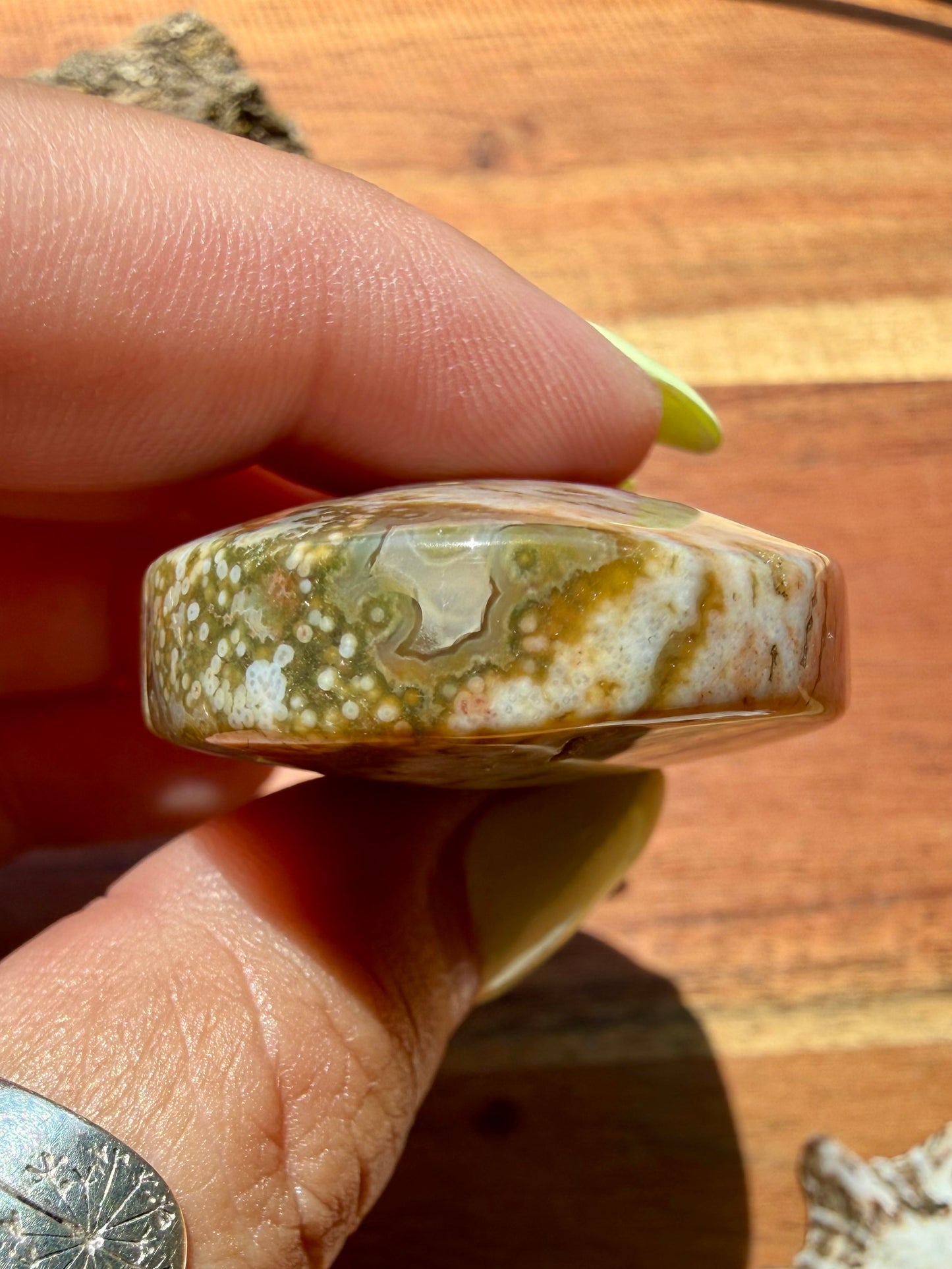 OLD STOCK OCEAN JASPER PALM STONE