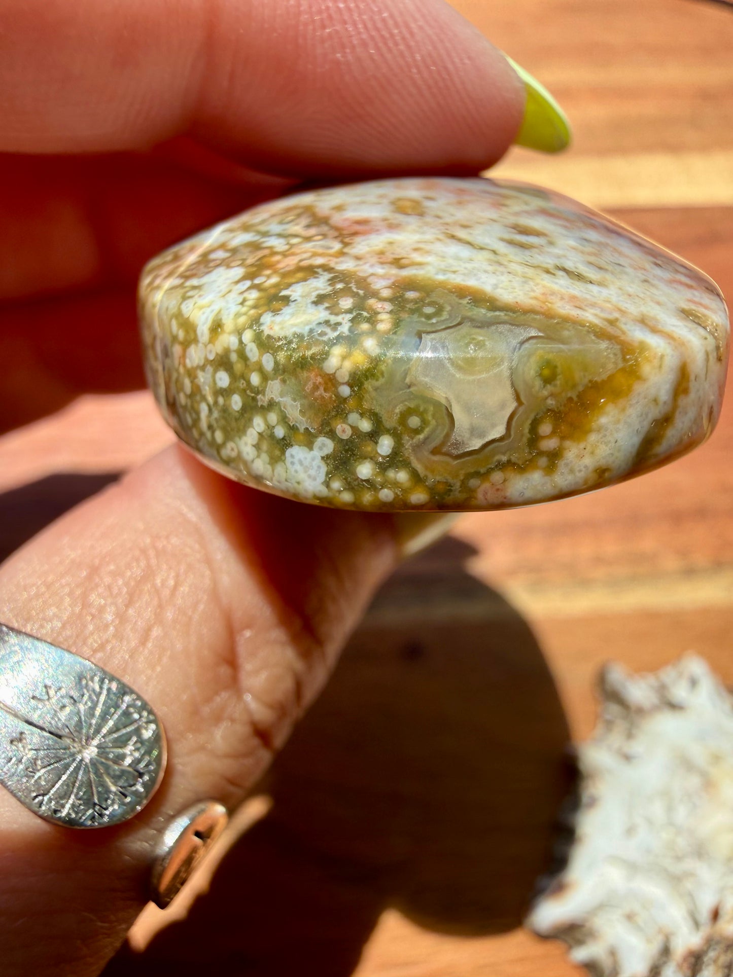 OLD STOCK OCEAN JASPER PALM STONE