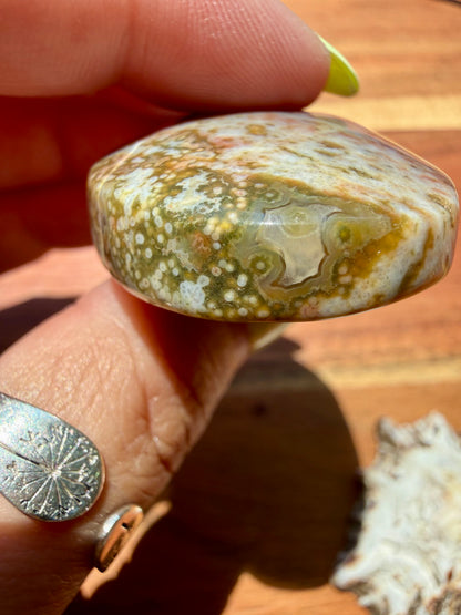 OLD STOCK OCEAN JASPER PALM STONE