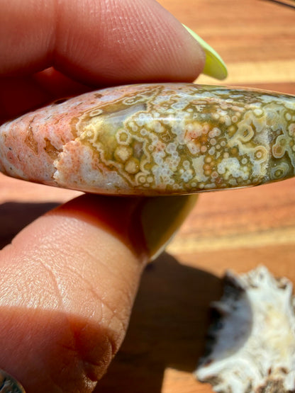 OLD STOCK OCEAN JASPER PALM STONE
