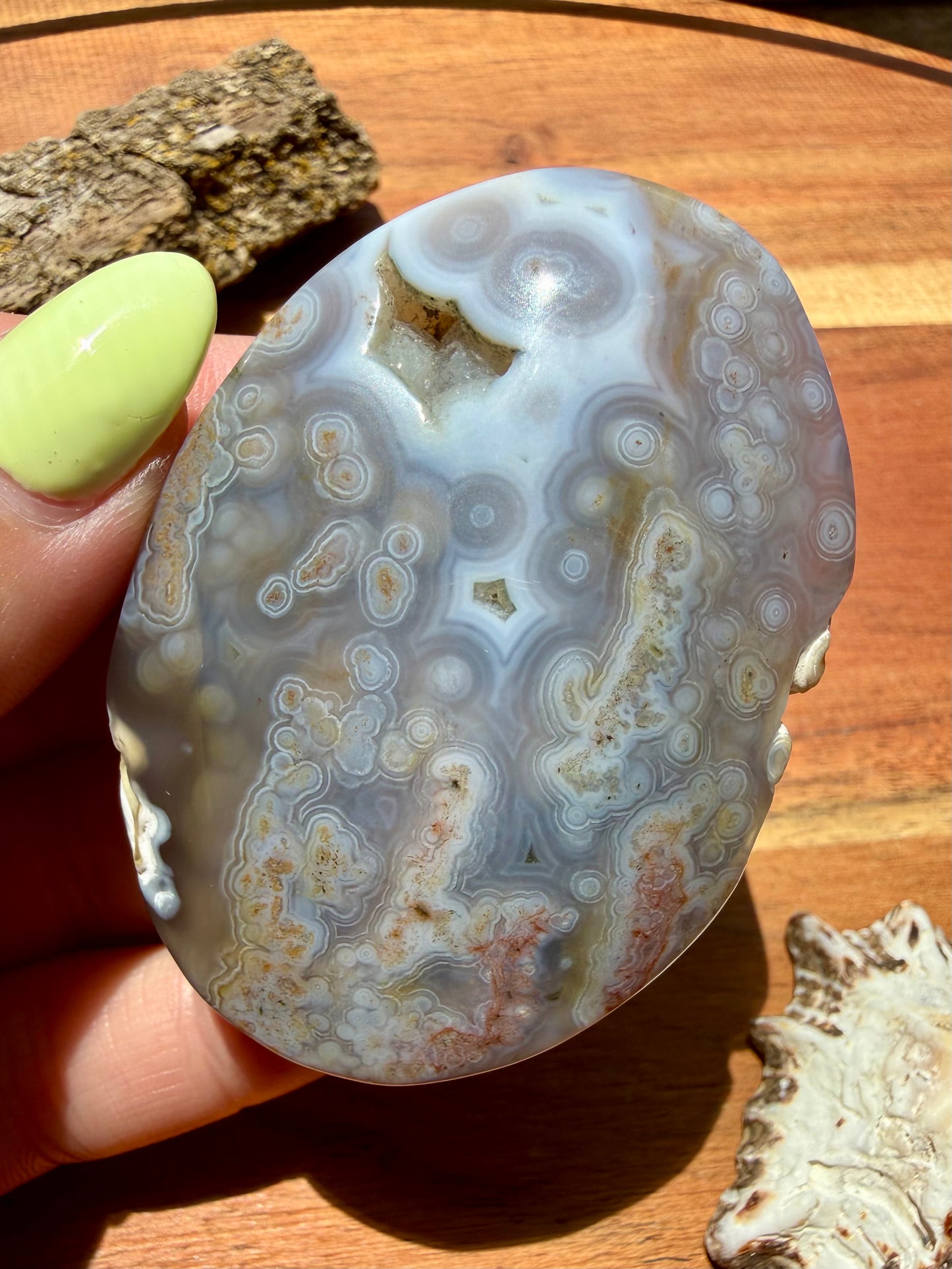 OLD STOCK OCEAN JASPER PALM STONE