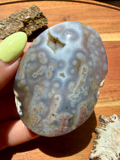 OLD STOCK OCEAN JASPER PALM STONE