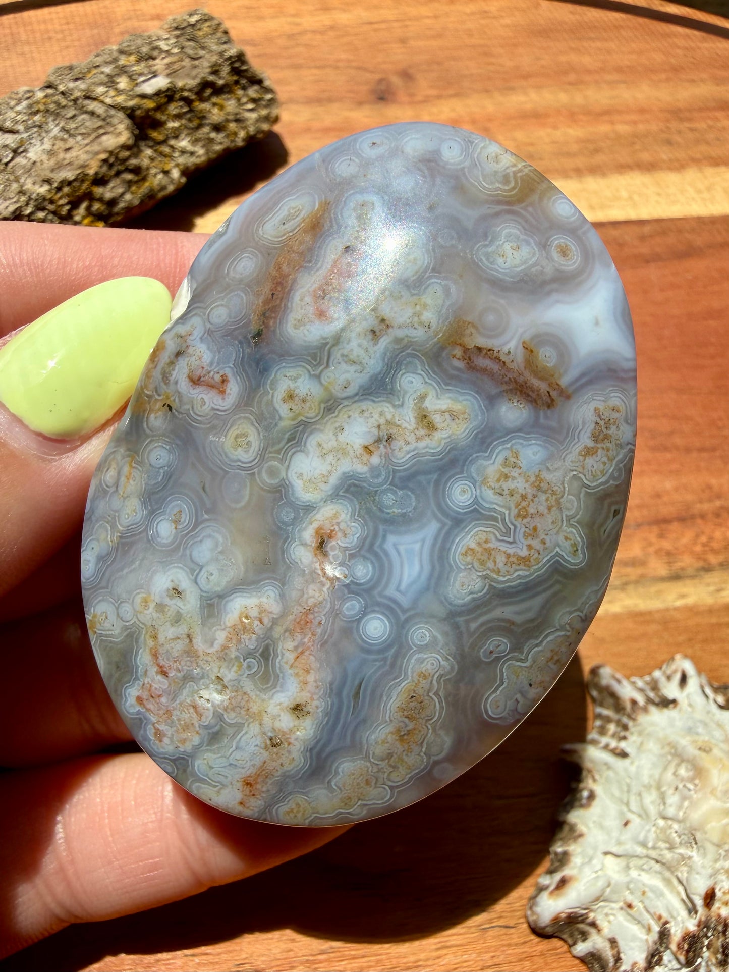 OLD STOCK OCEAN JASPER PALM STONE