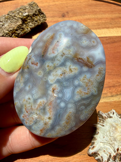 OLD STOCK OCEAN JASPER PALM STONE