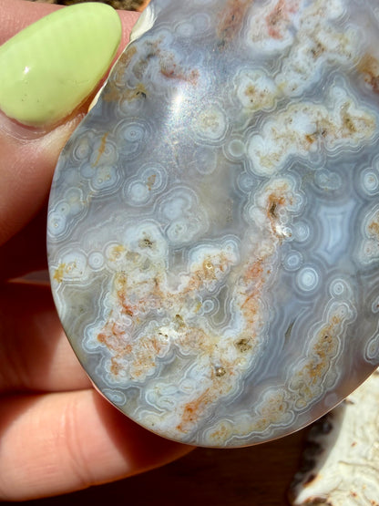 OLD STOCK OCEAN JASPER PALM STONE