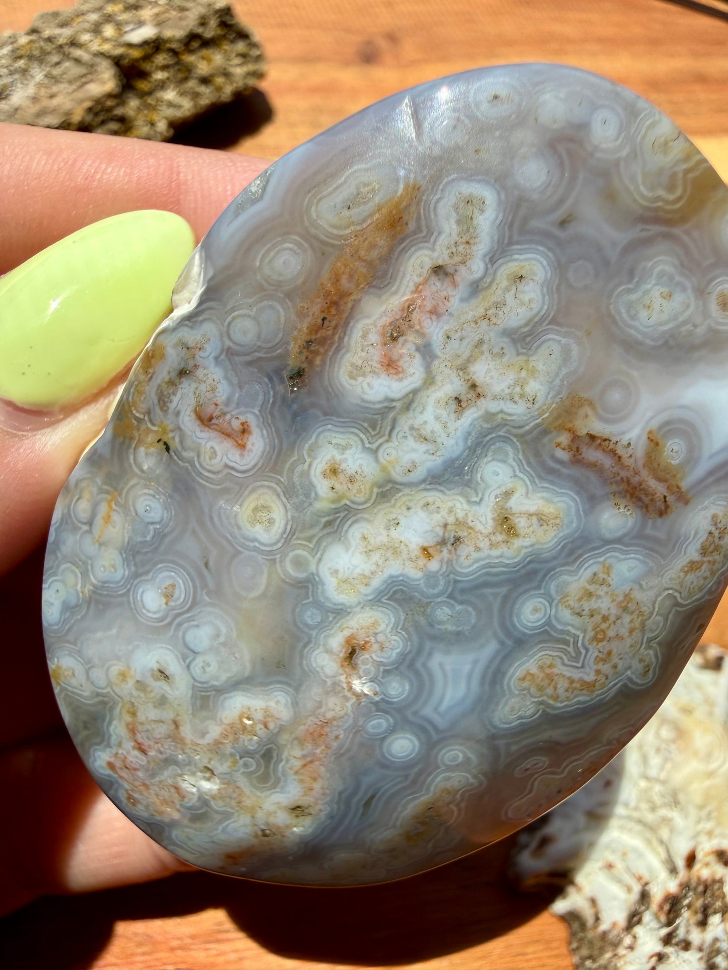 OLD STOCK OCEAN JASPER PALM STONE