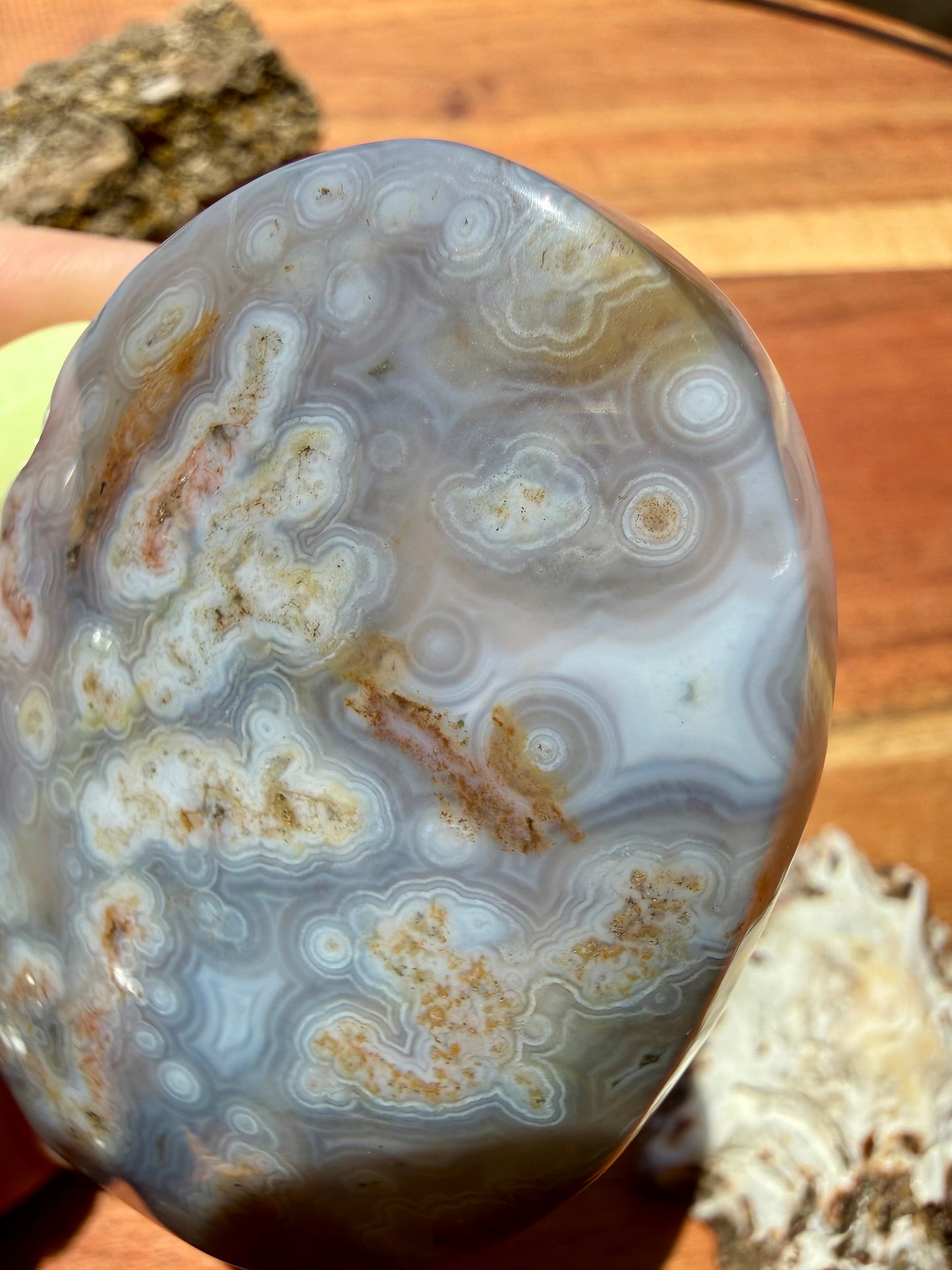 OLD STOCK OCEAN JASPER PALM STONE