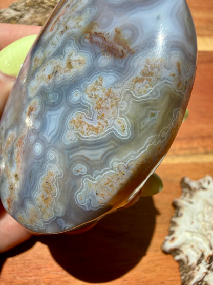 OLD STOCK OCEAN JASPER PALM STONE
