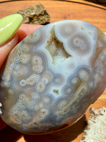 OLD STOCK OCEAN JASPER PALM STONE
