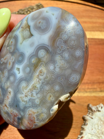 OLD STOCK OCEAN JASPER PALM STONE
