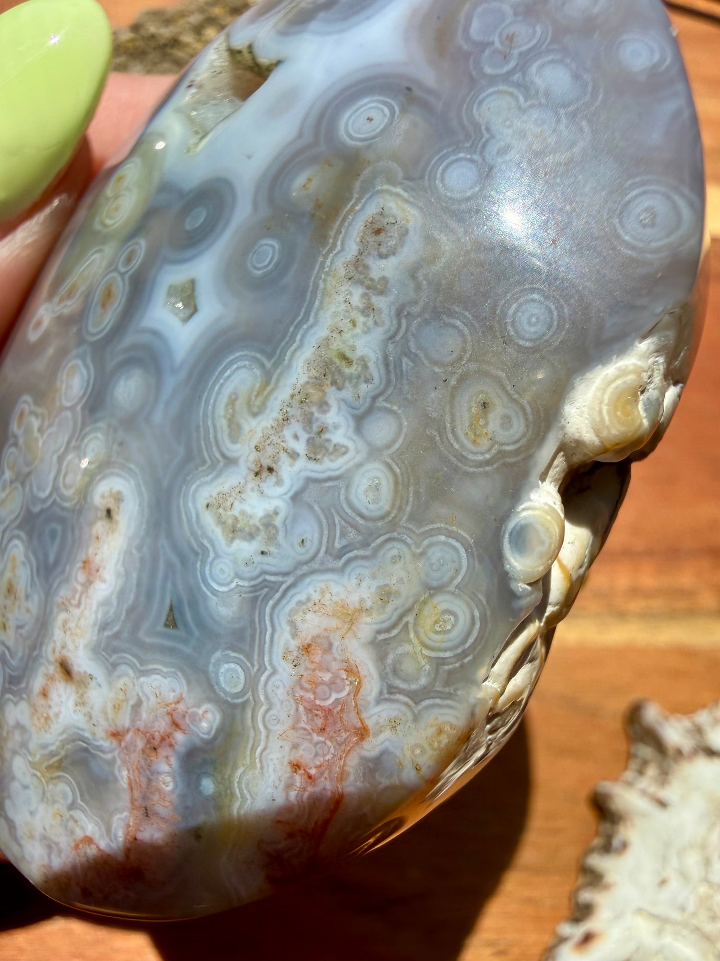 OLD STOCK OCEAN JASPER PALM STONE