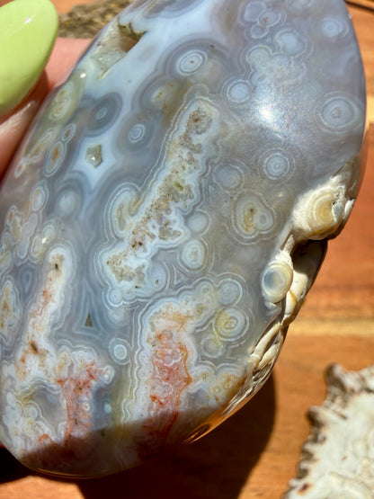 OLD STOCK OCEAN JASPER PALM STONE