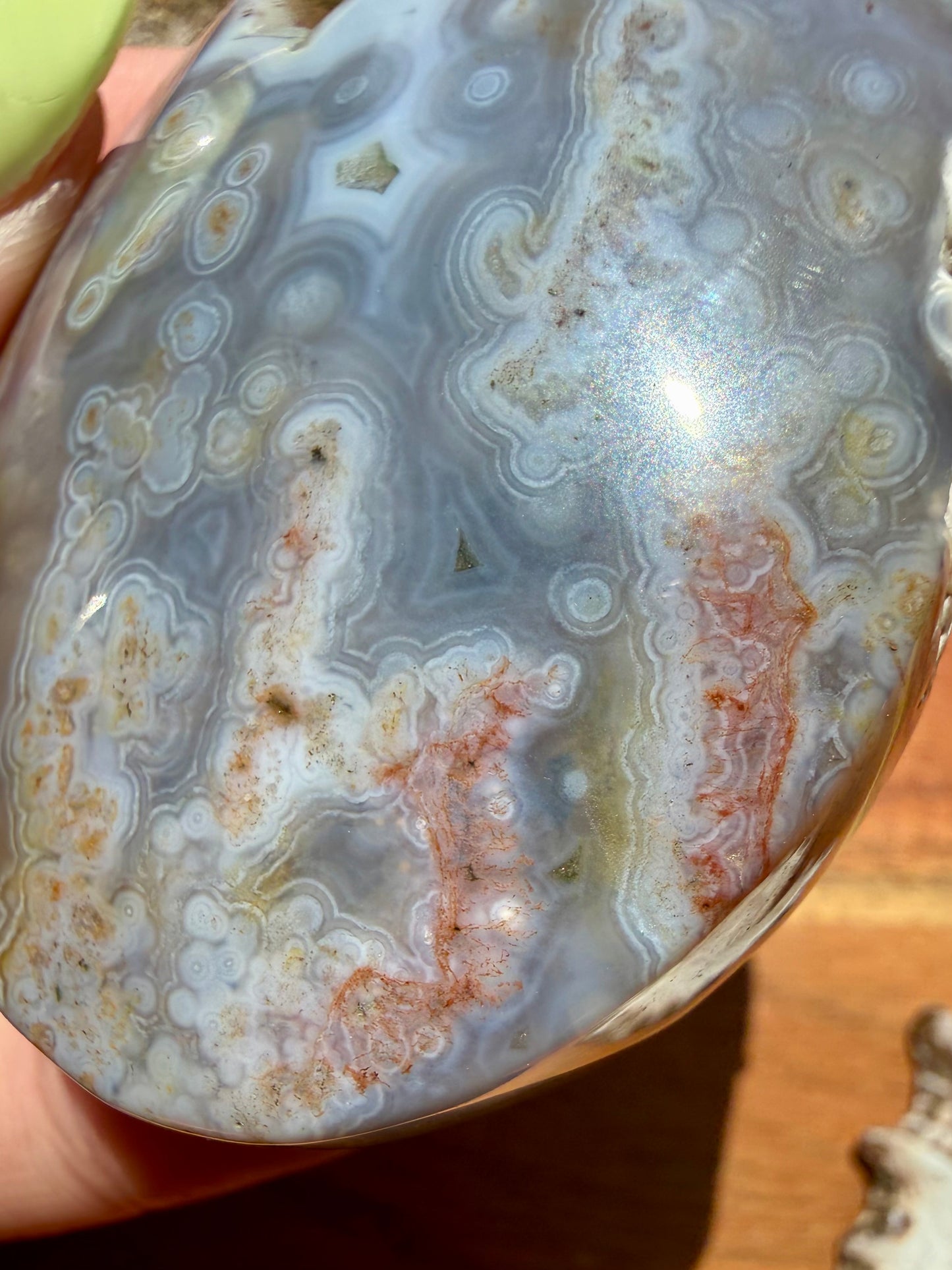 OLD STOCK OCEAN JASPER PALM STONE