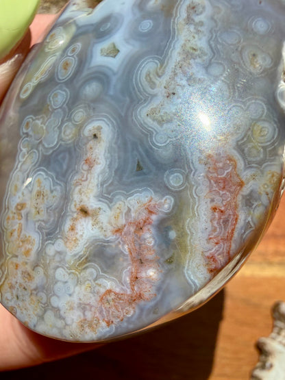OLD STOCK OCEAN JASPER PALM STONE