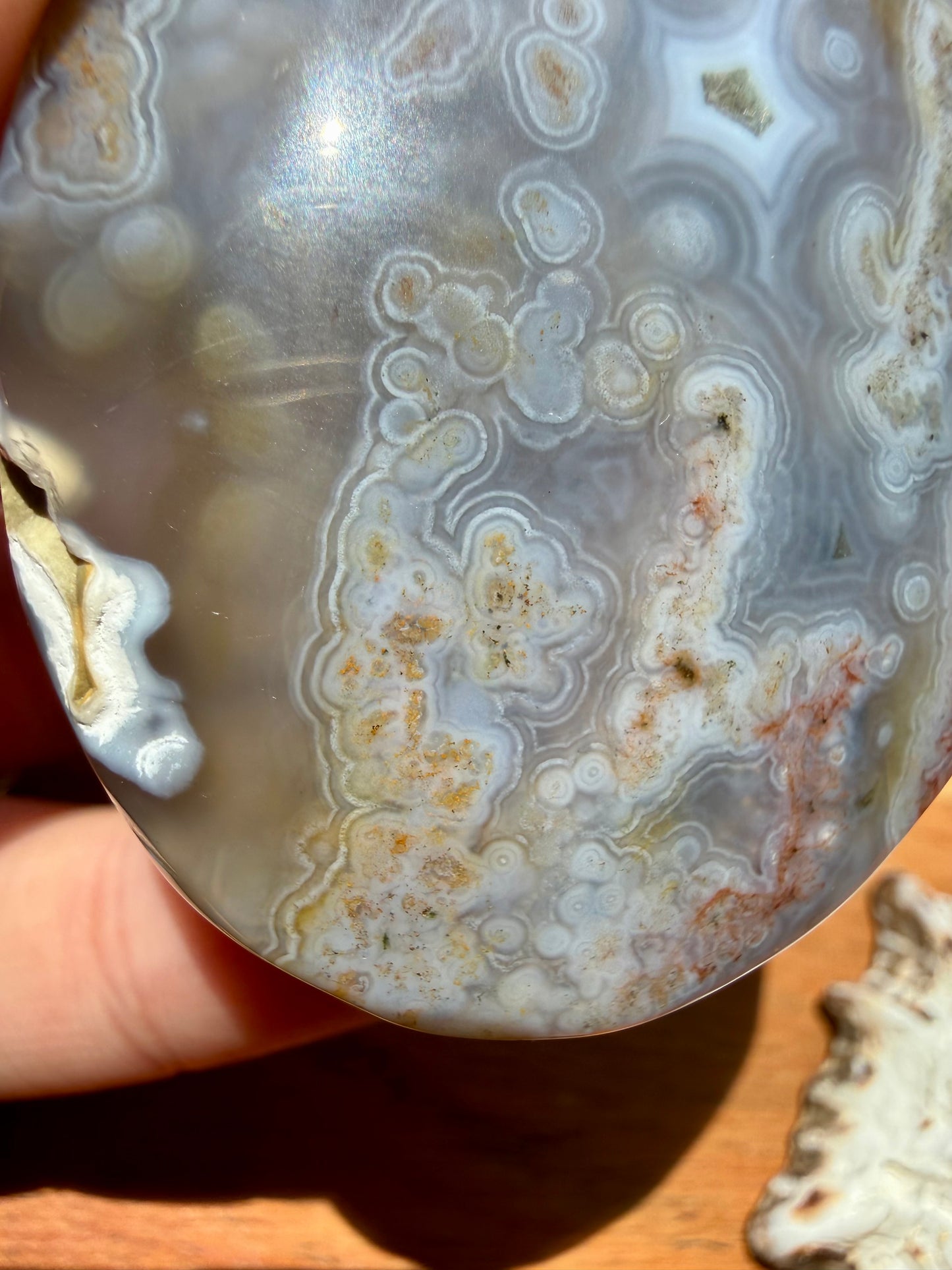 OLD STOCK OCEAN JASPER PALM STONE