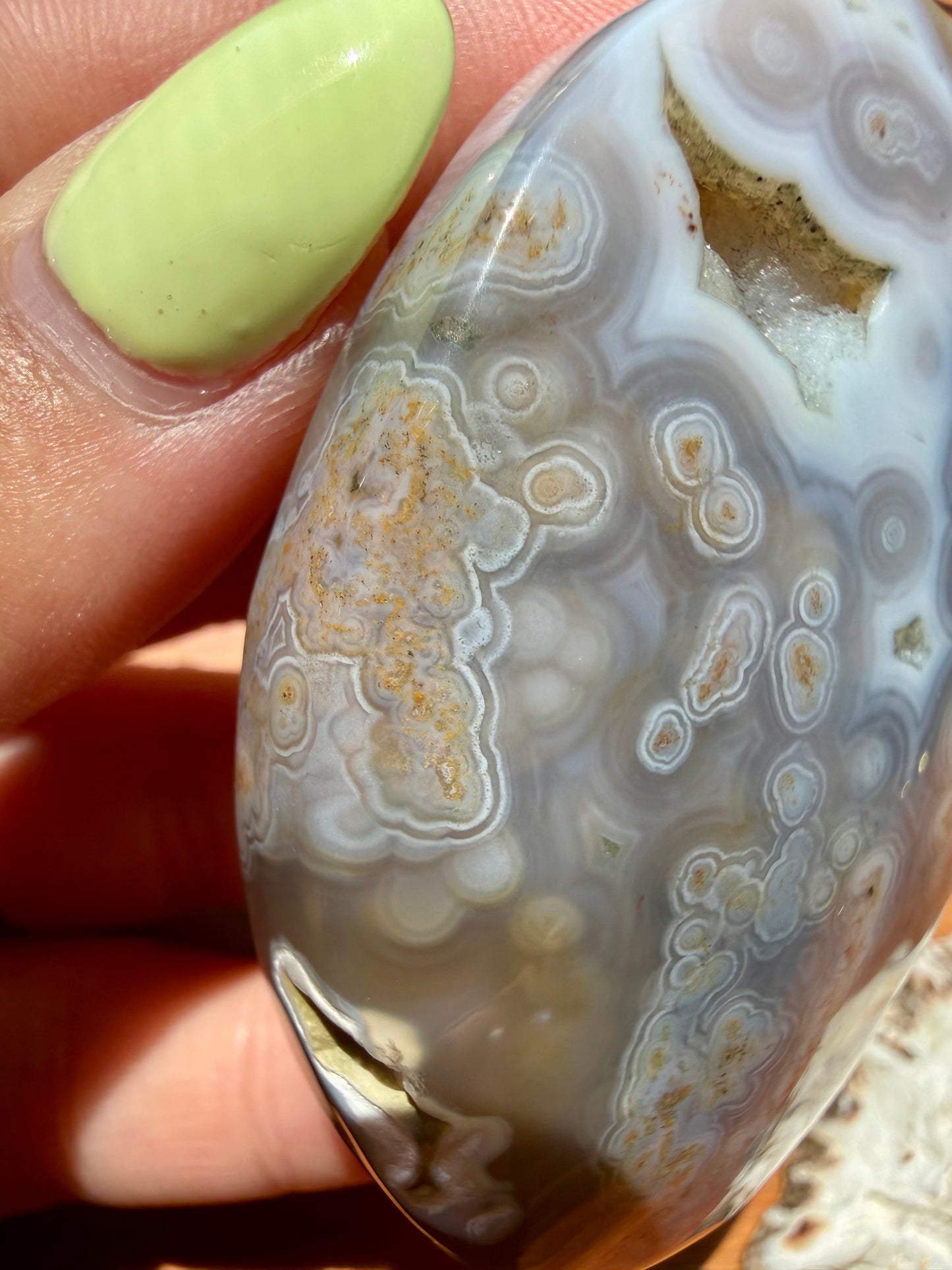 OLD STOCK OCEAN JASPER PALM STONE