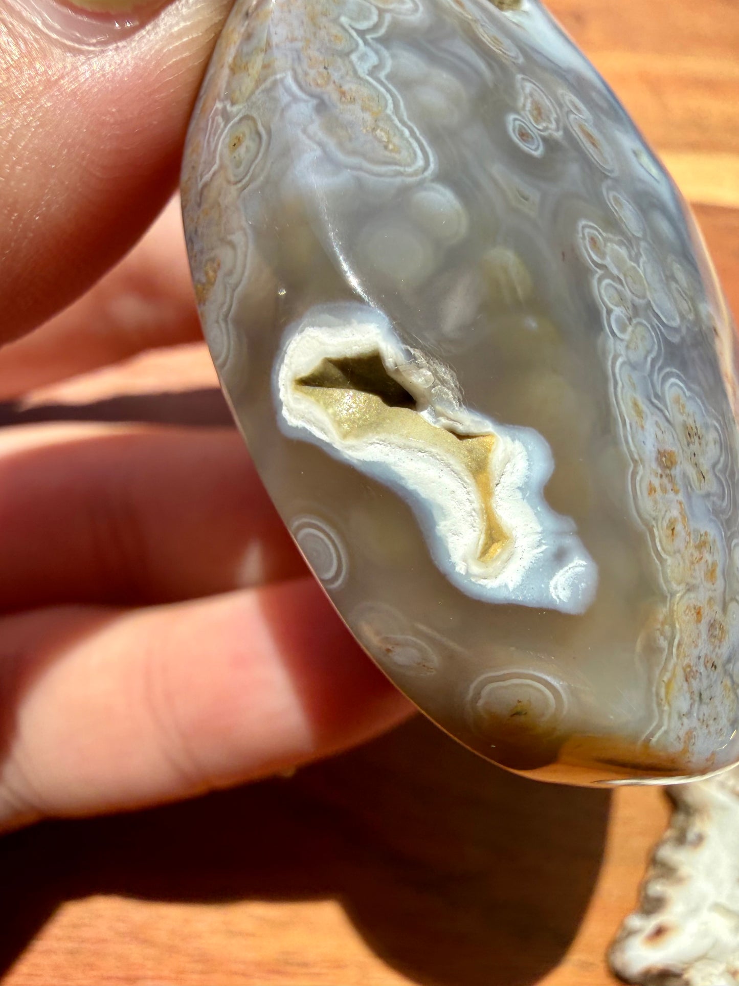 OLD STOCK OCEAN JASPER PALM STONE