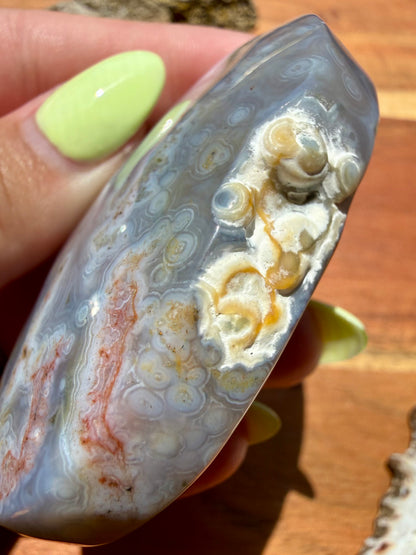 OLD STOCK OCEAN JASPER PALM STONE
