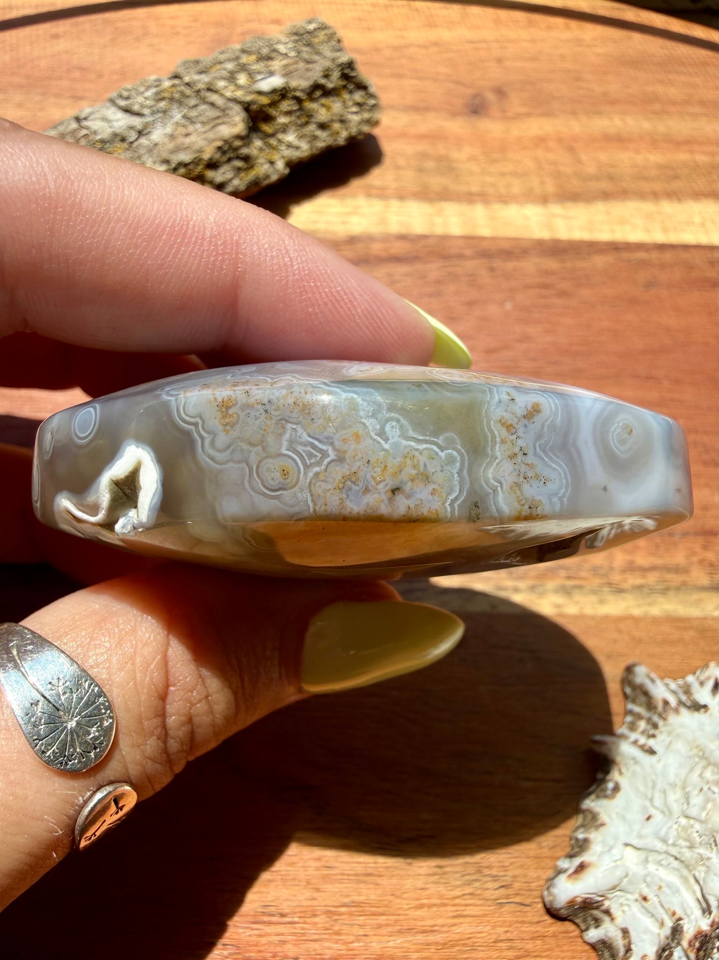OLD STOCK OCEAN JASPER PALM STONE