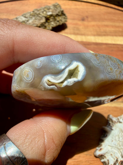 OLD STOCK OCEAN JASPER PALM STONE