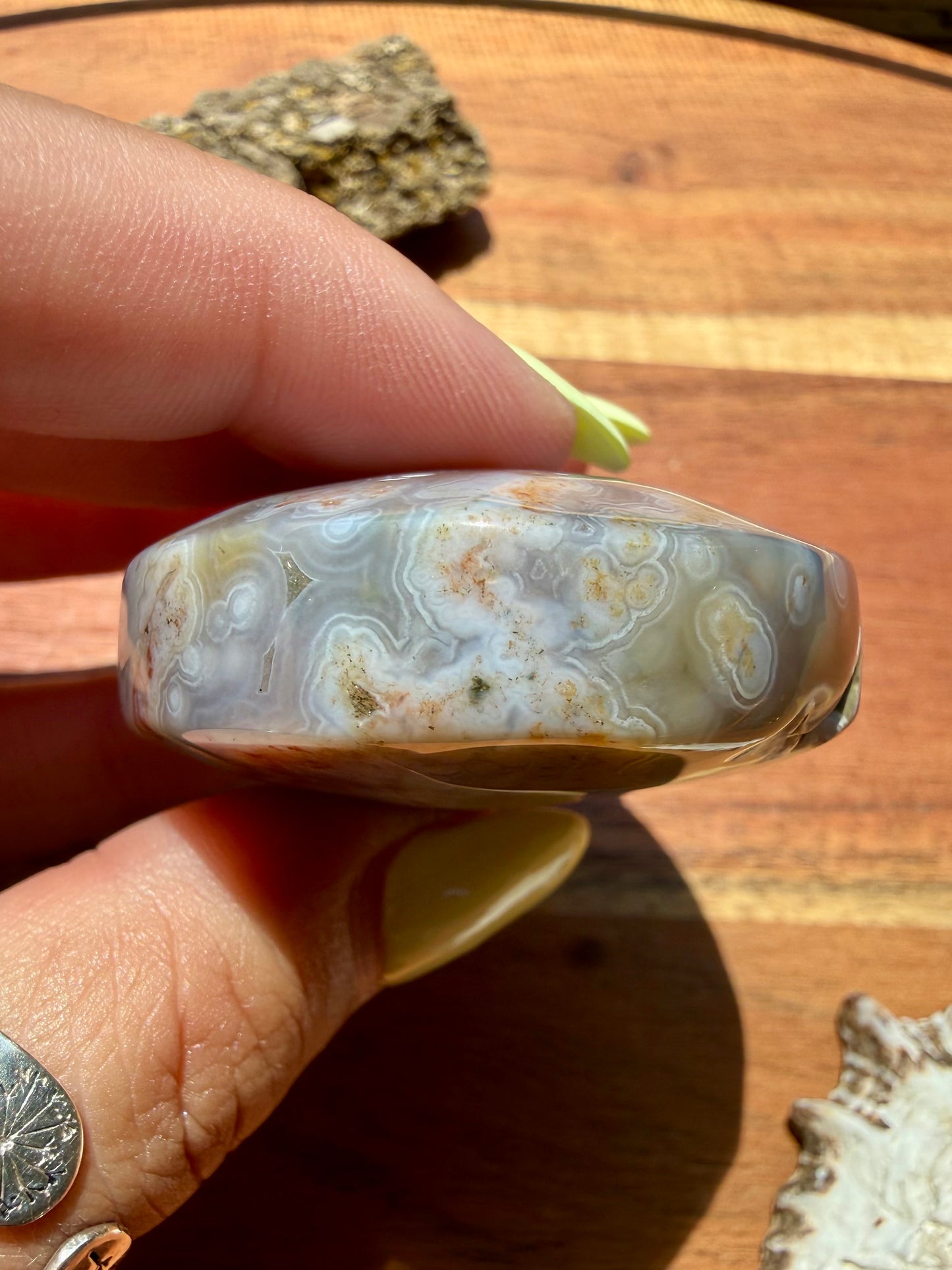 OLD STOCK OCEAN JASPER PALM STONE