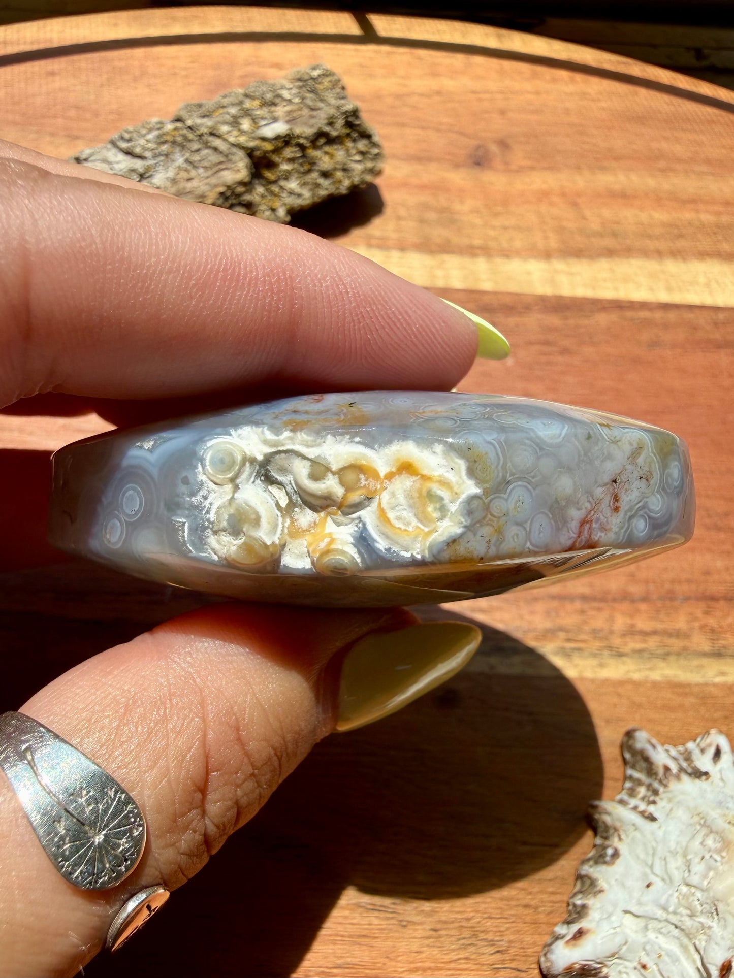 OLD STOCK OCEAN JASPER PALM STONE
