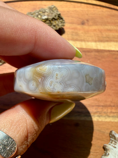 OLD STOCK OCEAN JASPER PALM STONE
