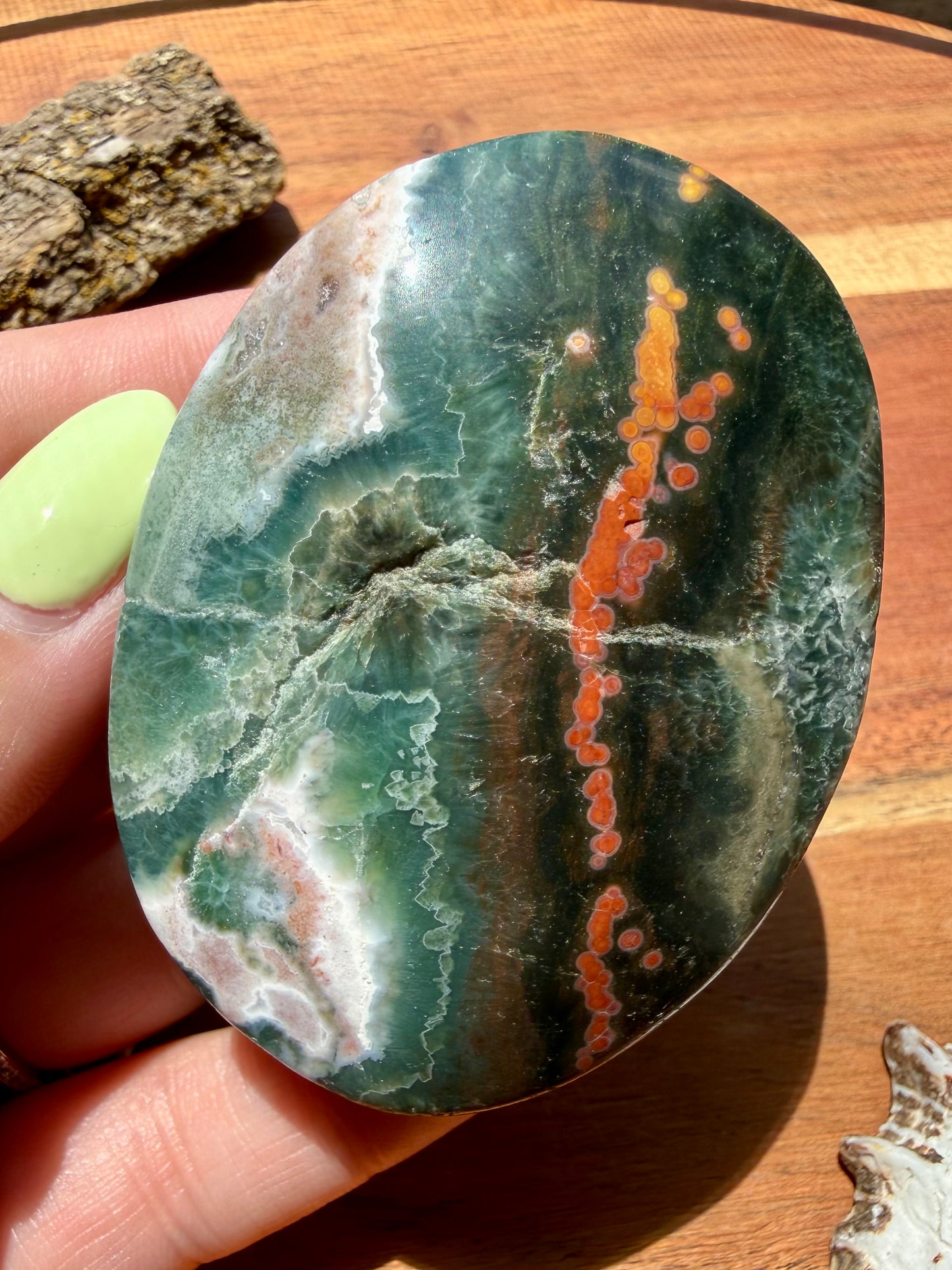 OLD STOCK OCEAN JASPER PALM STONE