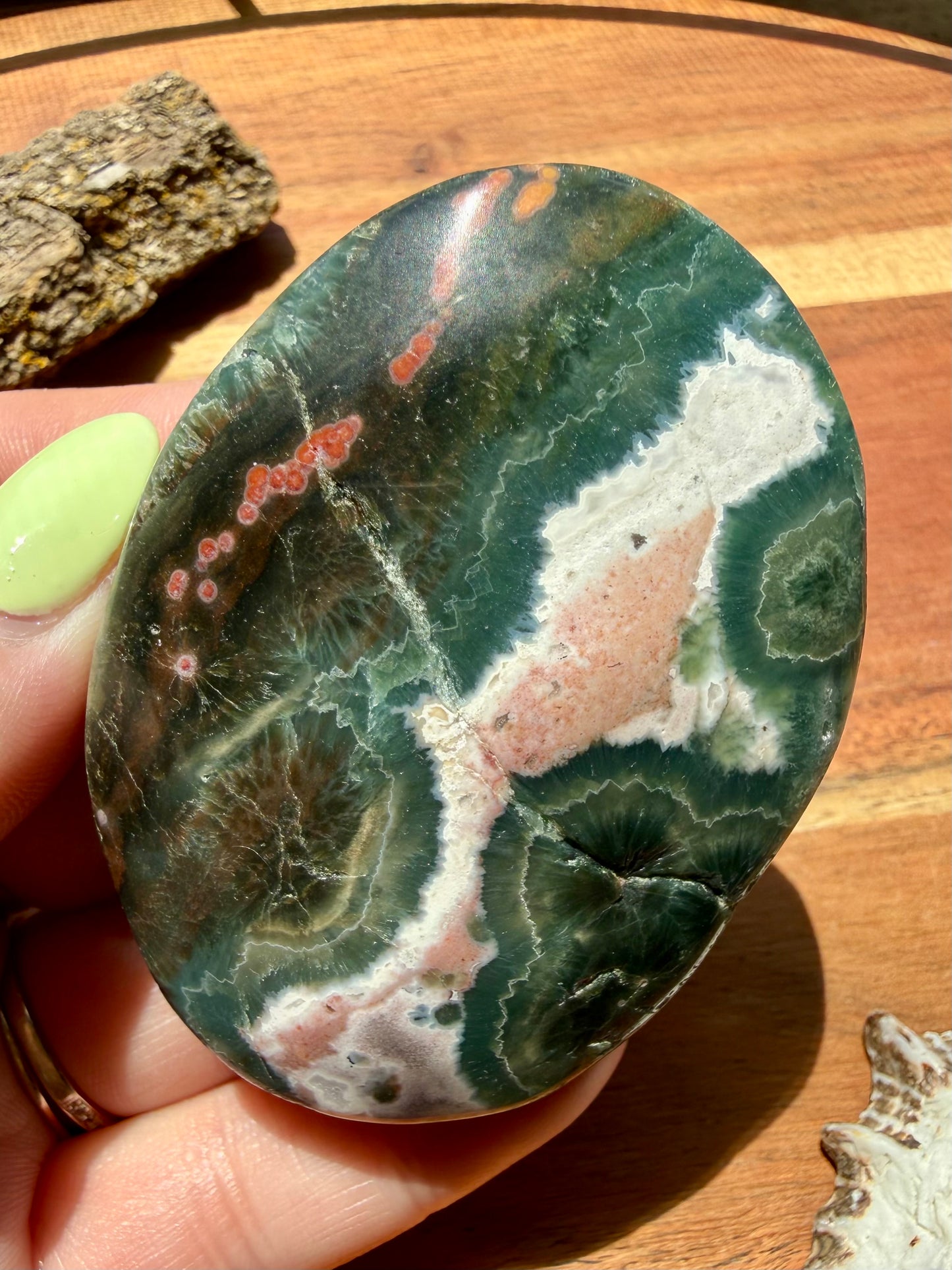 OLD STOCK OCEAN JASPER PALM STONE