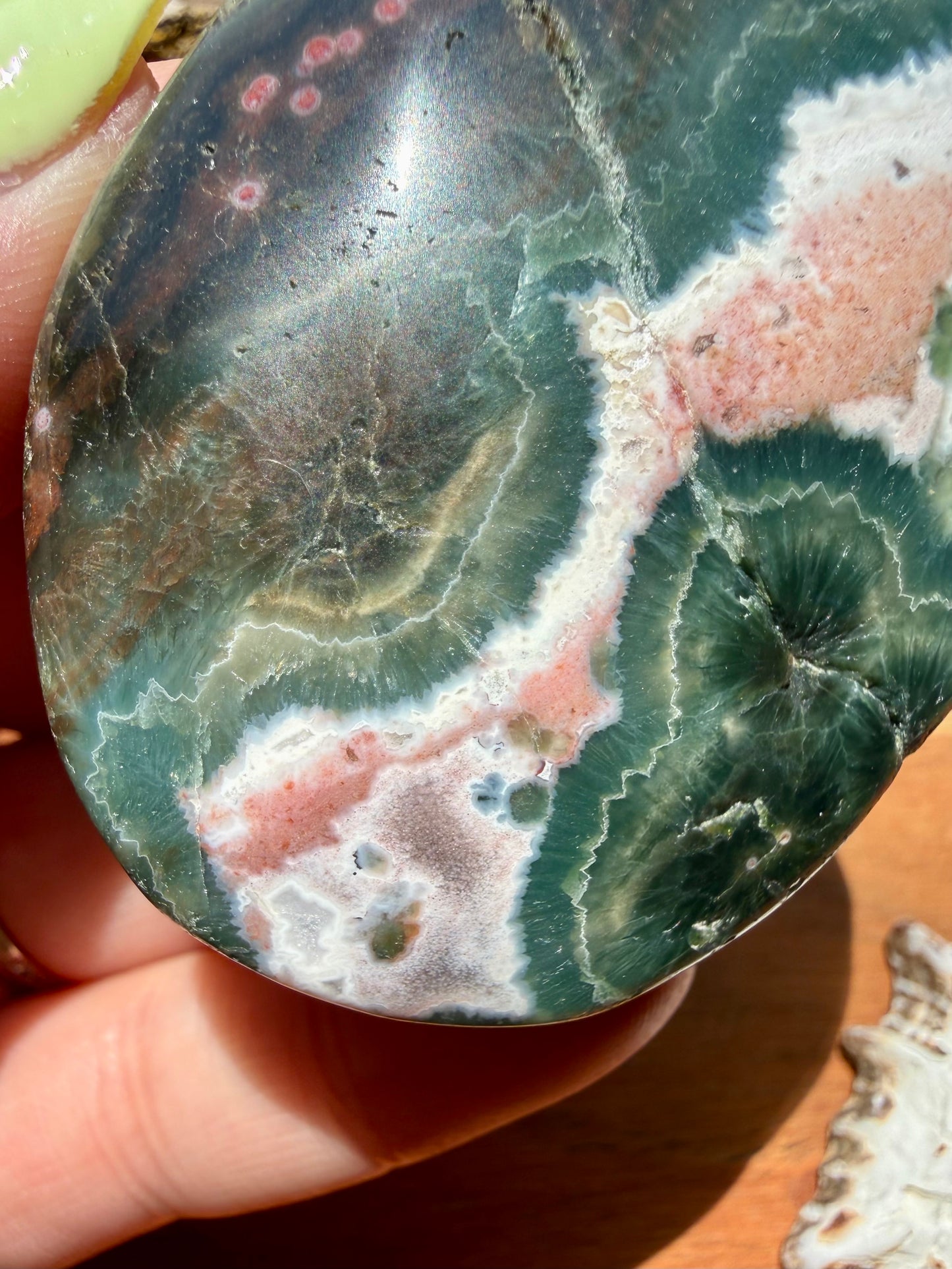 OLD STOCK OCEAN JASPER PALM STONE