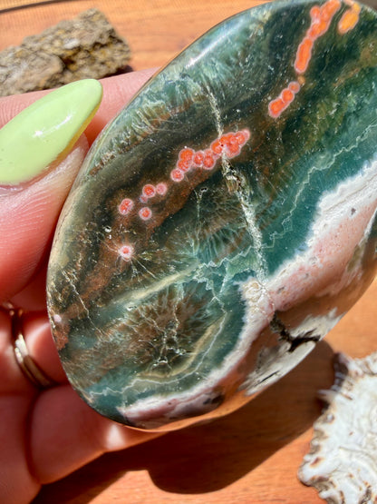 OLD STOCK OCEAN JASPER PALM STONE