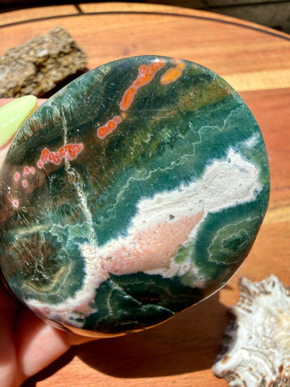 OLD STOCK OCEAN JASPER PALM STONE