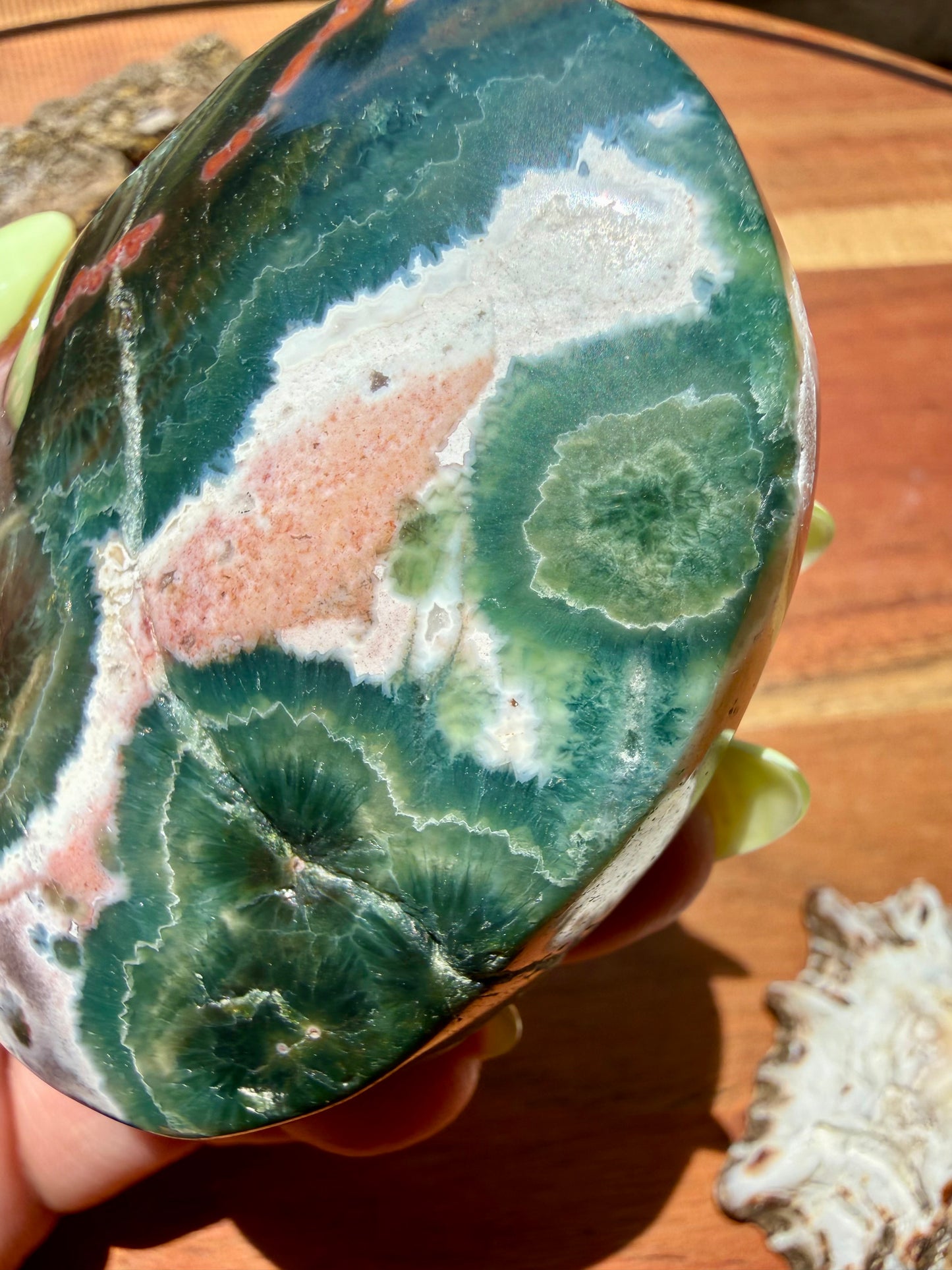 OLD STOCK OCEAN JASPER PALM STONE
