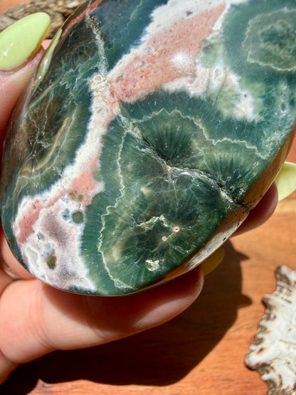OLD STOCK OCEAN JASPER PALM STONE