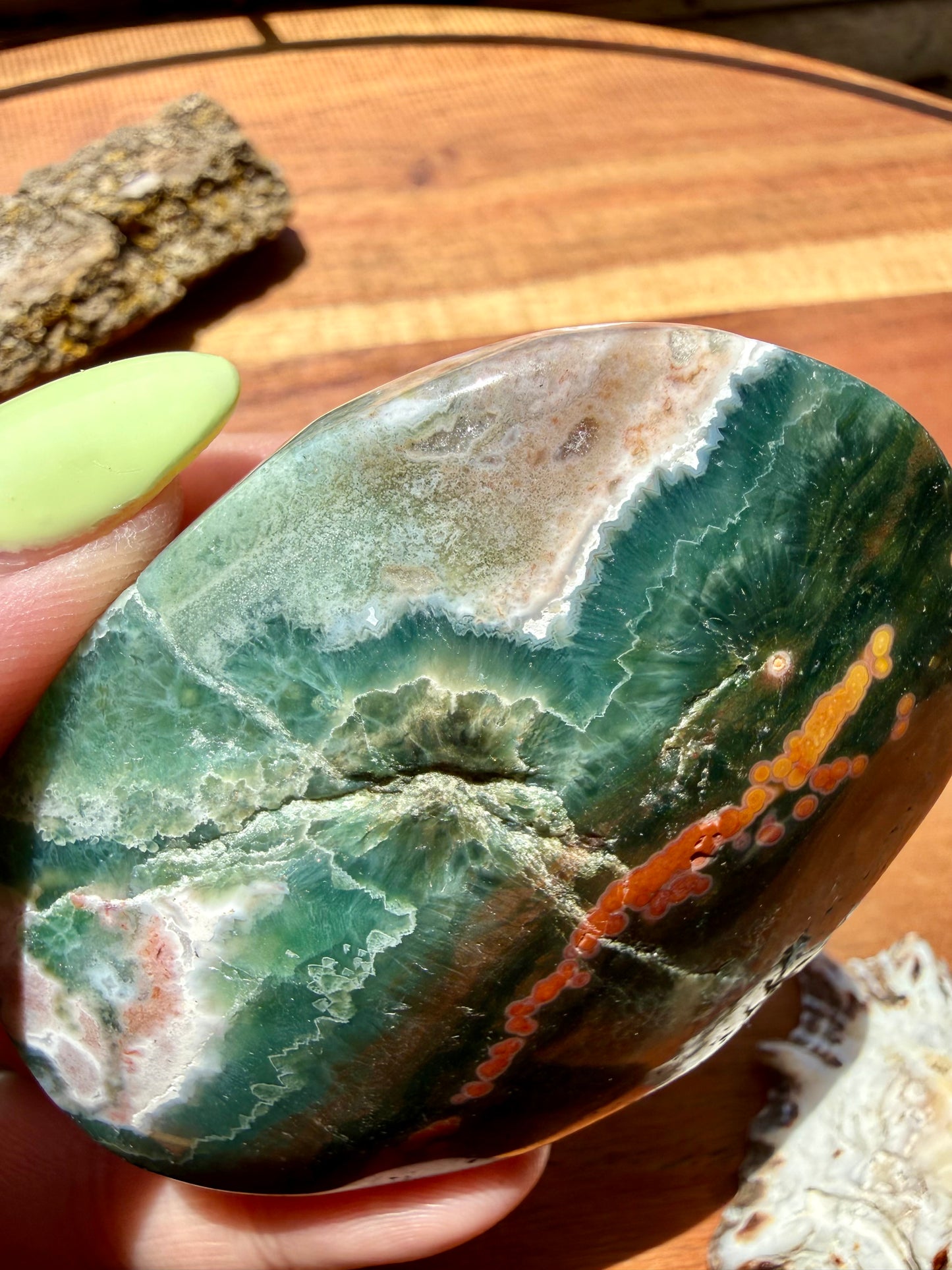 OLD STOCK OCEAN JASPER PALM STONE