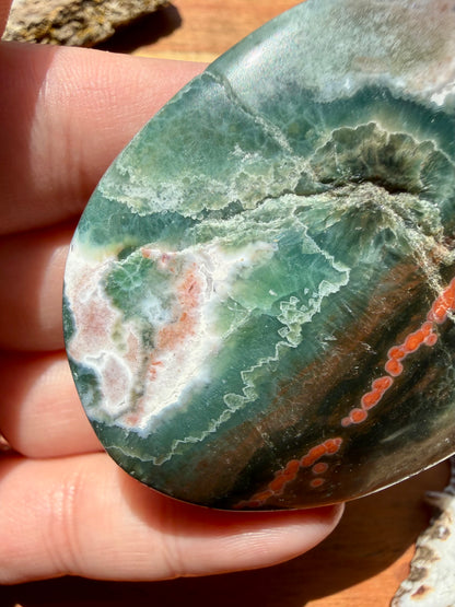 OLD STOCK OCEAN JASPER PALM STONE