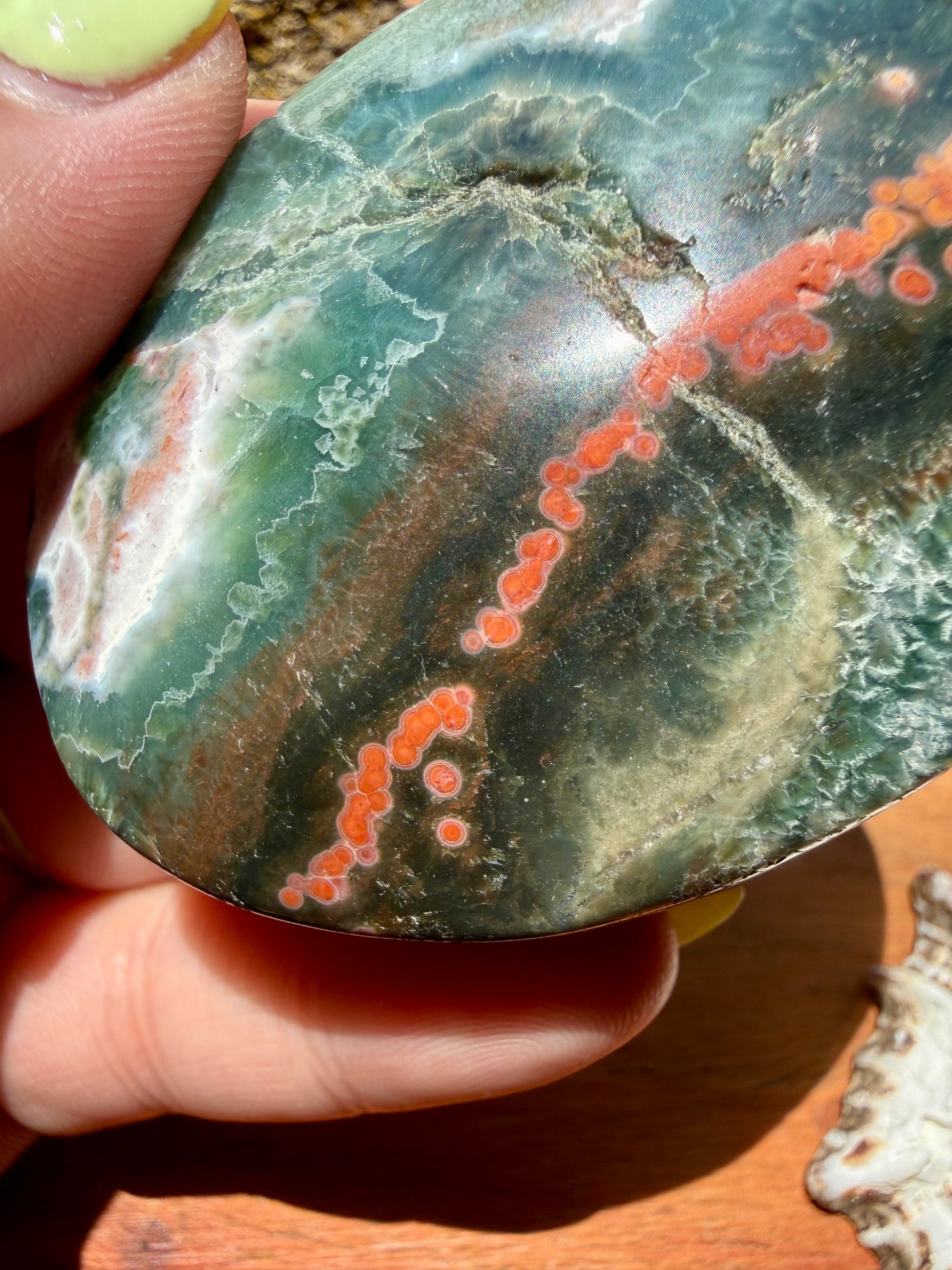 OLD STOCK OCEAN JASPER PALM STONE