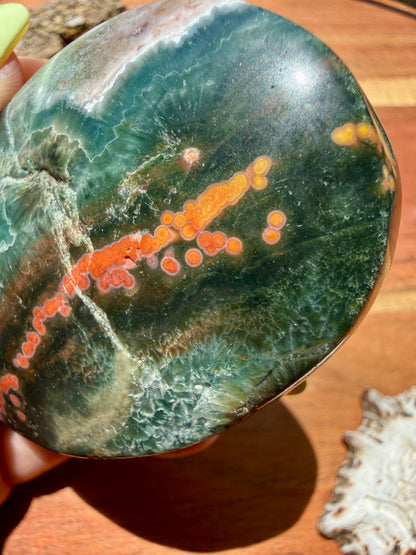 OLD STOCK OCEAN JASPER PALM STONE
