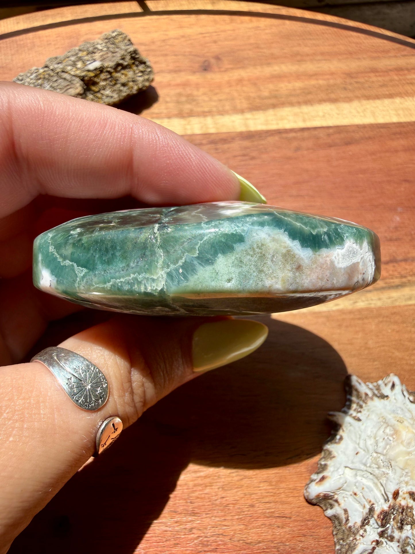 OLD STOCK OCEAN JASPER PALM STONE