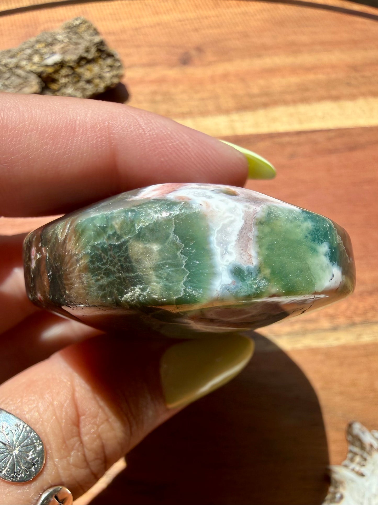 OLD STOCK OCEAN JASPER PALM STONE