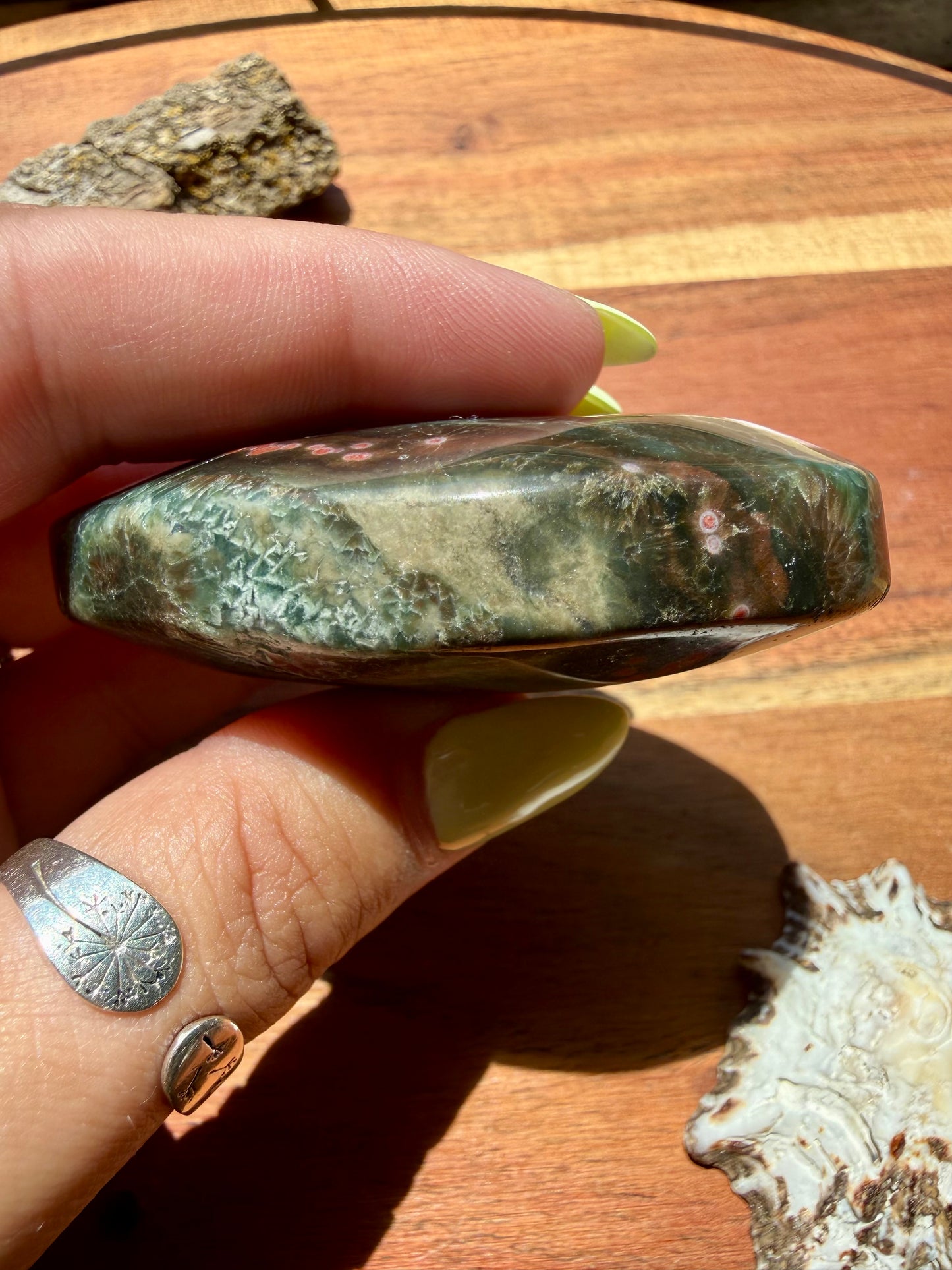 OLD STOCK OCEAN JASPER PALM STONE