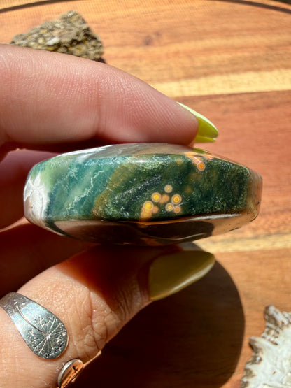 OLD STOCK OCEAN JASPER PALM STONE