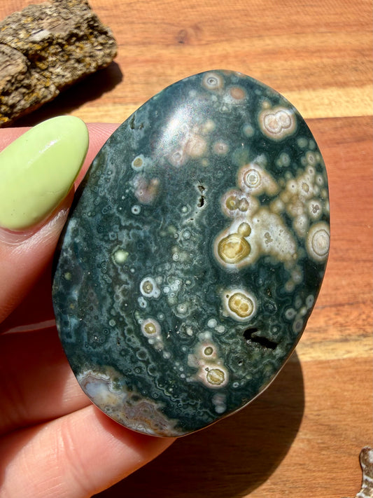 OLD STOCK OCEAN JASPER PALM STONE